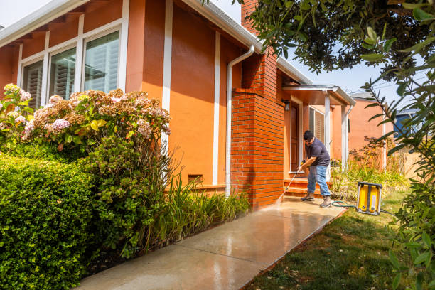 Best Affordable Pressure Washing  in Erath, LA